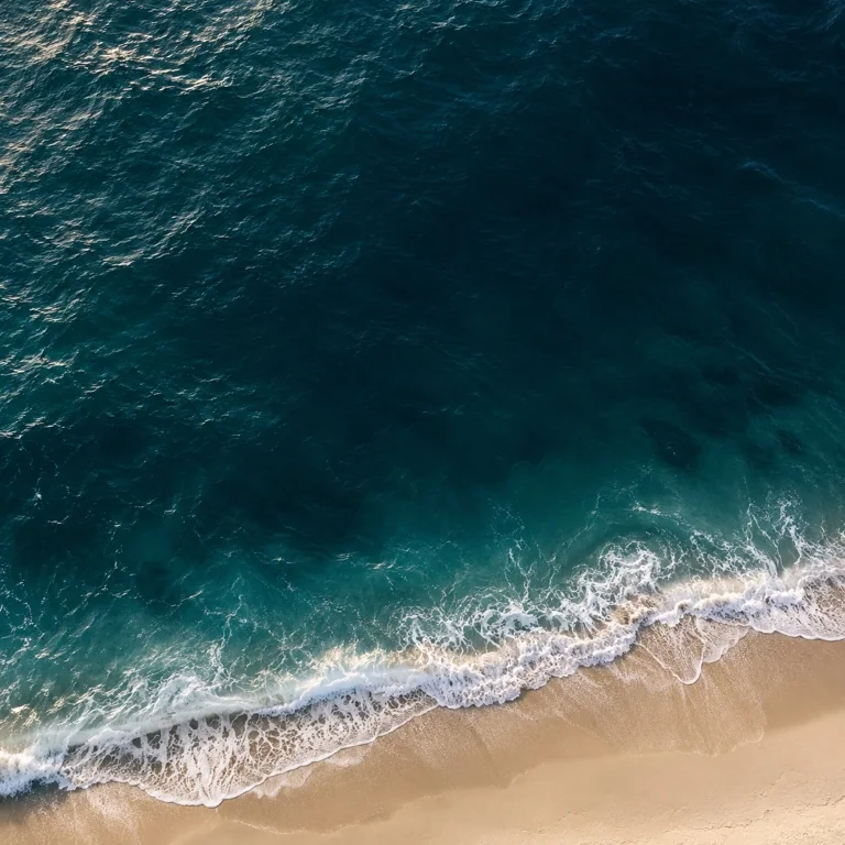 CarPro Ocean artwork